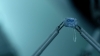 the100307_0153.jpg