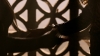 the100307_1915.jpg
