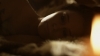 the100307_2015.jpg