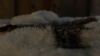 the100307_2722.jpg