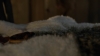 the100307_2723.jpg