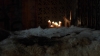 the100309_0033.jpg
