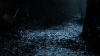 the100309_0600.jpg