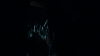 the100309_1486.jpg