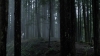 the100309_2452.jpg