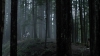 the100309_2453.jpg