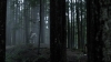 the100309_2454.jpg