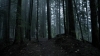 the100309_2455.jpg