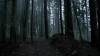 the100309_2456.jpg