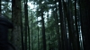 the100309_2483.jpg