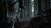 the100309_2484.jpg