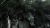 the100309_2503.jpg