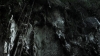 the100309_2504.jpg