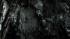 the100309_2505.jpg