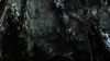 the100309_2506.jpg