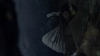 the100309_2524.jpg