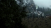 the100309_2573.jpg