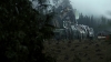 the100309_2574.jpg