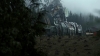 the100309_2575.jpg