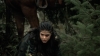 the100309_2587.jpg