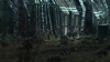 the100309_2609.jpg
