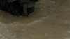 the100309_2636.jpg