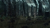 the100309_2705.jpg