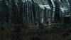 the100309_2706.jpg
