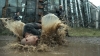 the100309_2713.jpg