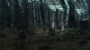 the100309_2727.jpg