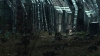 the100309_2728.jpg