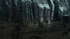the100309_2729.jpg