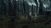 the100309_2730.jpg