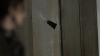 the100310_0184.jpg