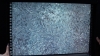 the100310_0420.jpg
