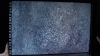 the100310_0421.jpg