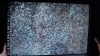 the100310_0422.jpg