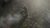 the100310_1375.jpg