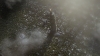 the100310_1376.jpg