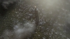 the100310_1377.jpg