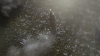 the100310_1378.jpg