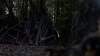 Filename=the100310_1556.jpg
Filesize=692KiB
Dimensions=1916x1076
Date added=Apr 13, 2016 the100310_1556.jpg
