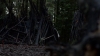 the100310_1557.jpg