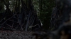 the100310_1558.jpg