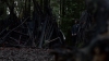 the100310_1559.jpg