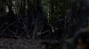 the100310_1560.jpg