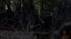 the100310_1561.jpg