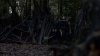 the100310_1564.jpg