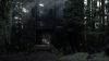 the100310_1570.jpg