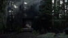the100310_1571.jpg